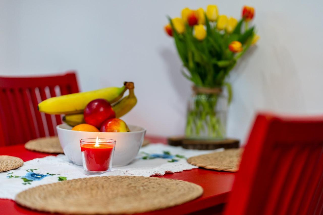 Apartament Poludniowy 鲁达希隆斯卡 外观 照片